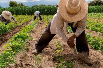 Jurisdiccon Agraria Colombia2